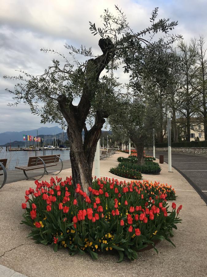 Caba Holiday Bardolino D'Annunzio Bagian luar foto